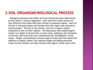 Biological processes that affect soil have historically been determined
by the native or natural vegetation. Soils that form under forests are
very different than those that have formed in grassland regions. Much of
the soil in the great plains was formed when the region was covered by
prairie grasses. This soil is very fertile, and rich in organic matter
compared to soils of other regions. The deep grass roots added organic
matter to a depth of several feet in some cases, leading to the formation
of the rich, dark soils that have made Kansas the "breadbasket" of the
world. Tillage, and planting of annual crops on these soils has halted this
addition of organic matter, but reduced tillage and adding perennial
crops into the rotation can help maintain the organic matter that is left.
 