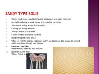 1. Warms much more quickly in Spring because of less water retention
2. Are light and easy to work having less essential nutrients.
3. Are free-draining ,water drains rapidly
4. Can dry out in dry weather
5. Tend to be low in nutrients
6. Can be worked at almost any time
7. Need liming little and often.
8. When we roll the slightly wet sandy soil in our palms, no ball should be formed
and it crumbles through your fingers
9. Ideal for crops like:
Watermelons, Peanuts, and Peaches
10. Ideal for plants like:
Tulips, Cistus, and Hibiscus
 