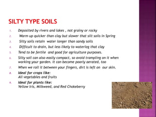 1. Deposited by rivers and lakes , not grainy or rocky
2. Warm up quicker than clay but slower that silt soils in Spring
3. Silty soils retain water longer than sandy soils
4. Difficult to drain, but less likely to waterlog that clay
5. Tend to be fertile and good for agriculture purposes.
6. Silty soil can also easily compact, so avoid trampling on it when
working your garden. It can become poorly aerated, too
7. When we roll it between your fingers, dirt is left on our skin.
8. Ideal for crops like:
All vegetables and fruits
9. Ideal for plants like:
Yellow Iris, Milkweed, and Red Chokeberry
 