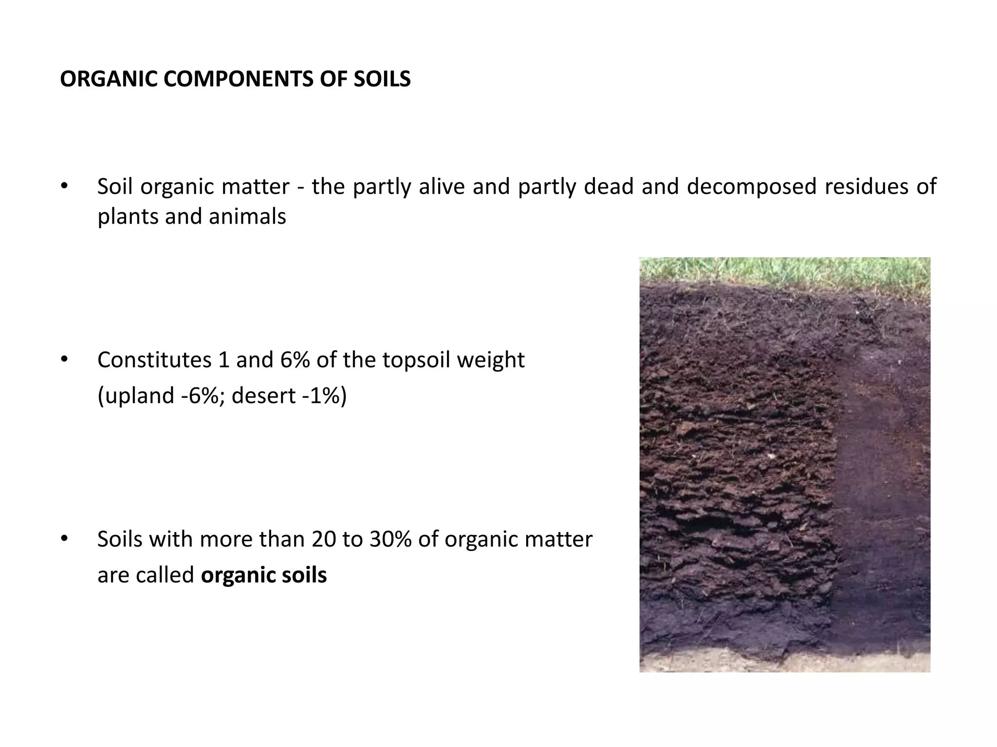 ORGANIC COMPONENTS OF SOILS
• Soil organic matter - the partly alive and partly dead and decomposed residues of
plants and animals
• Constitutes 1 and 6% of the topsoil weight
(upland -6%; desert -1%)
• Soils with more than 20 to 30% of organic matter
are called organic soils
 