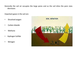 Generally the soil air occupies the large pores and as the soil dries the pore sizes
decreases
Important gases in the soil are:
• Dissolved oxygen
• Carbon dioxide
• Methane
• Hydrogen Sulfide
• Nitrogen
 