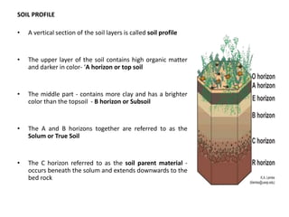 SOIL PROFILE
• A vertical section of the soil layers is called soil profile
• The upper layer of the soil contains high organic matter
and darker in color- ‘A horizon or top soil
• The middle part - contains more clay and has a brighter
color than the topsoil - B horizon or Subsoil
• The A and B horizons together are referred to as the
Solum or True Soil
• The C horizon referred to as the soil parent material -
occurs beneath the solum and extends downwards to the
bed rock
 