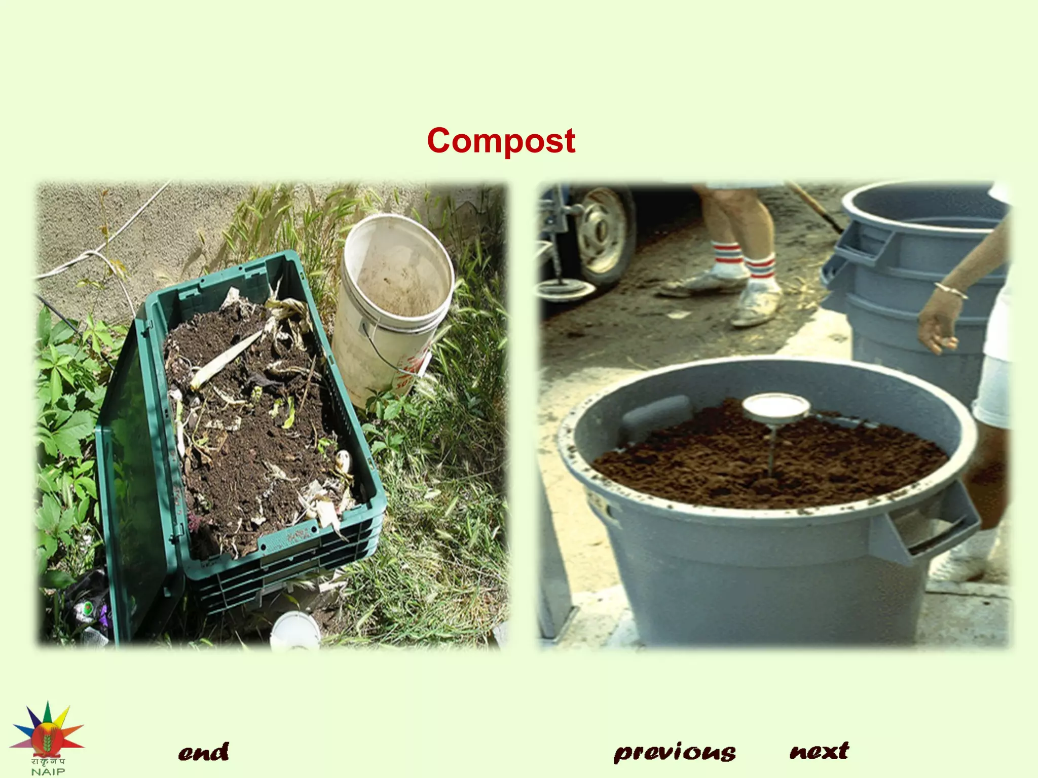 Compost
 
