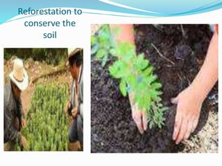 Reforestation to
conserve the
soil
 