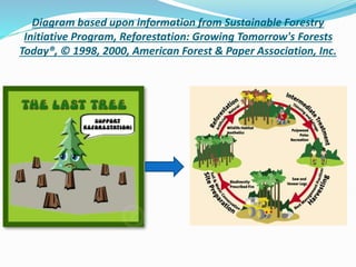 Diagram based upon information from Sustainable Forestry
Initiative Program, Reforestation: Growing Tomorrow's Forests
Today®, © 1998, 2000, American Forest & Paper Association, Inc.
 