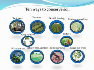 Ten ways to conserve soil
Plant trees Terraces No-till farming Contour ploughing
Crop rotation Soil pH
Water the soil Salinity management Soil organisms Indigenous crops
 