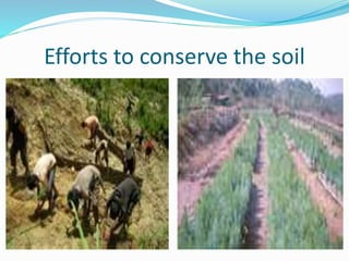 Efforts to conserve the soil
 