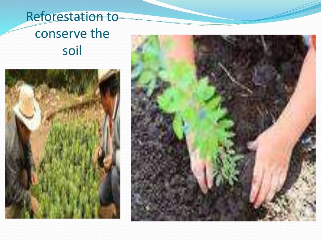 Soil conservation ppt