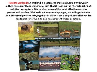 Restore wetlands: A wetland is a land area that is saturated with water,
either permanently or seasonally, such that it takes on the characteristics of
a distinct ecosystem. Wetlands are one of the most effective ways to
prevent soil erosion. Wetlands act as natural sponges, absorbing rainwater
and preventing it from carrying the soil away. They also provide a habitat for
birds and other wildlife and help prevent water pollution.
 