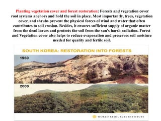 Planting vegetation cover and forest restoration: Forests and vegetation cover
root systems anchors and hold the soil in place. Most importantly, trees, vegetation
cover, and shrubs prevent the physical forces of wind and water that often
contributes to soil erosion. Besides, it ensures sufficient supply of organic matter
from the dead leaves and protects the soil from the sun’s harsh radiation. Forest
and Vegetation cover also helps to reduce evaporation and preserves soil moisture
needed for quality and fertile soil.
 