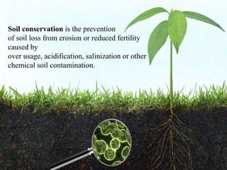 Soil conservation is the prevention
of soil loss from erosion or reduced fertility
caused by
over usage, acidification, salinization or other
chemical soil contamination.
 