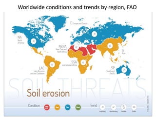 Worldwide conditions and trends by region, FAO
 