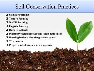 Soil Conservation Practices
 Contour Farming
 Terrace Farming
 No-Till Farming
 Organic farming
 Restore wetlands
 Planting vegetation cover and forest restoration
 Planting buffer strips along stream banks
 Windbreaks
 Proper waste disposal and management
 
