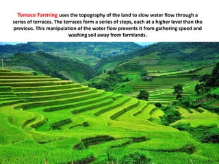 Terrace Farming uses the topography of the land to slow water flow through a
series of terraces. The terraces form a series of steps, each at a higher level than the
previous. This manipulation of the water flow prevents it from gathering speed and
washing soil away from farmlands.
 