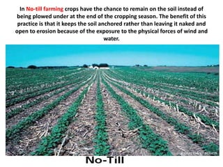 In No-till farming crops have the chance to remain on the soil instead of
being plowed under at the end of the cropping season. The benefit of this
practice is that it keeps the soil anchored rather than leaving it naked and
open to erosion because of the exposure to the physical forces of wind and
water.
 