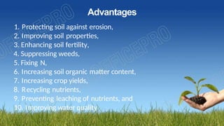 Advantages
1. Protecting soil against erosion,
2. Improving soil properties,
3. Enhancing soil fertility,
4. Suppressing weeds,
5. Fixing N,
6. Increasing soil organic matter content,
7. Increasing crop yields,
8. Recycling nutrients,
9. Preventing leaching of nutrients, and
10. Improving water quality
 