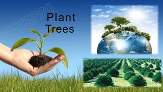 Plant
Trees
 