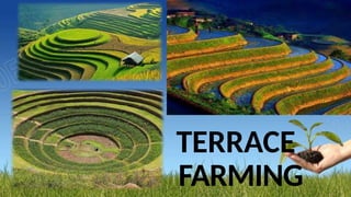 TERRACE
FARMING
 