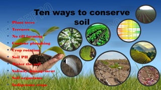 Ten ways to conserve
soil
• Plant trees
• Terraces
• No till farming
• Contour ploughing
• Crop rotation
• Soil PH
• Water the soil
• Salinity management
• Soil organisms
• Indigenous crops
 