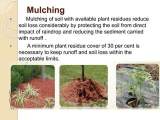Mulching
 Mulching of soil with available plant residues reduce
soil loss considerably by protecting the soil from direct
impact of raindrop and reducing the sediment carried
with runoff .
 A minimum plant residue cover of 30 per cent is
necessary to keep runoff and soil loss within the
acceptable limits.
 