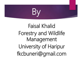 By
Faisal Khalid
Forestry and Wildlife
Management
University of Haripur
fkcbuneri@gmail.com
 