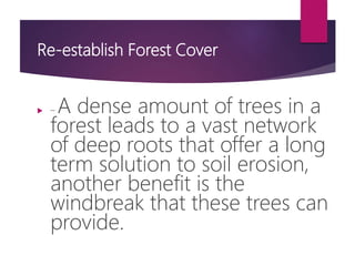 Re-establish Forest Cover
 – A dense amount of trees in a
forest leads to a vast network
of deep roots that offer a long
term solution to soil erosion,
another benefit is the
windbreak that these trees can
provide.
 