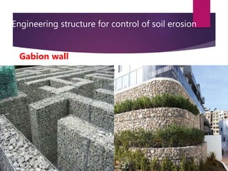 Engineering structure for control of soil erosion
Gabion wall
 