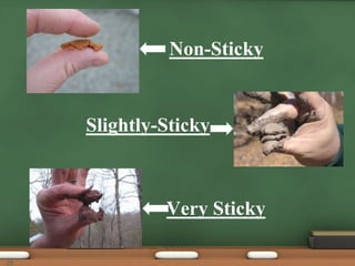 Non-Sticky
Very Sticky
Slightly-Sticky
29
 