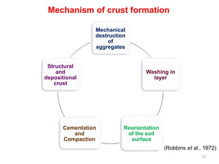 Mechanism of crust formation
Mechanical
destruction
of
aggregates
Washing in
layer
Reorientation
of the soil
surface
Cementation
and
Compaction
Structural
and
depositional
crust
12
(Robbins et al., 1972)
 