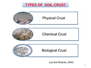 TYPES OF SOIL CRUST
Physical Crust
Chemical Crust
Biological Crust
14
(Lal and Shakula, 2004)
 