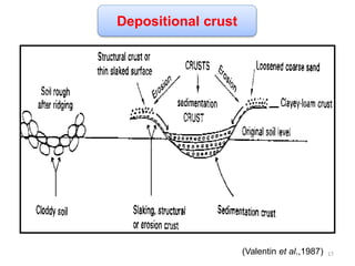 Depositional crust
(Valentin et al.,1987) 17
 