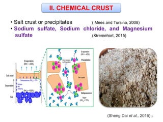 II. CHEMICAL CRUST
• Salt crust or precipitates ( Mees and Tursina, 2008)
• Sodium sulfate, Sodium chloride, and Magnesium
sulfate (Xtremehort, 2015)
(Sheng Dai et al., 2016)19
 