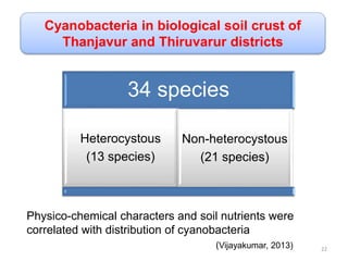 Cyanobacteria in biological soil crust of
Thanjavur and Thiruvarur districts
Physico-chemical characters and soil nutrients were
correlated with distribution of cyanobacteria
34 species
Heterocystous
(13 species)
Non-heterocystous
(21 species)
(Vijayakumar, 2013) 22
 