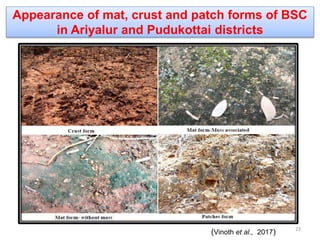 Appearance of mat, crust and patch forms of BSC
in Ariyalur and Pudukottai districts
(Vinoth et al., 2017) 23
 