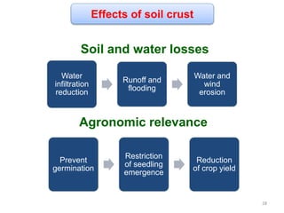 Effects of soil crust
Soil and water losses
Agronomic relevance
Water
infiltration
reduction
Runoff and
flooding
Water and
wind
erosion
Prevent
germination
Restriction
of seedling
emergence
Reduction
of crop yield
28
 