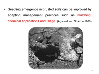 • Seedling emergence in crusted soils can be improved by
adapting management practices such as mulching,
chemical applications and tillage (Agarwal and Sharma,1980)
34
 