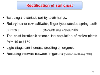 Rectification of soil crust
• Scraping the surface soil by tooth harrow
• Rotary hoe or row cultivator, finger type weeder, spring tooth
harrows (Minnesota crop e-News, 2007)
• The crust breaker increased the population of maize plants
from 15 to 45 %
• Light tillage can increase seedling emergence
• Reducing intervals between irrigations (Bradford and Huang, 1992)
41
 