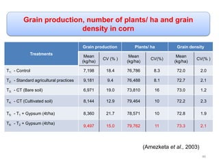 Grain production, number of plants/ ha and grain
density in corn
Treatments
Grain production Plants/ ha Grain density
Mean
(kg/ha)
CV (% )
Mean
(kg/ha)
CV(%)
Mean
(kg/ha)
CV(% )
T1: - Control 7,198 18.4 76,786 8.3 72.0 2.0
T2: - Standard agricultural practices 9,181 9.4 76,488 8.1 72.7 2.1
T3: - CT (Bare soil) 6,971 19.0 73,810 16 73.0 1.2
T4: - CT (Cultivated soil) 8,144 12.9 79,464 10 72.2 2.3
T5: - T1 + Gypsum (4t/ha) 8,360 21.7 78,571 10 72.8 1.9
T6: - T2 + Gypsum (4t/ha)
9,497 15.0 79,762 11 73.3 2.1
(Amezketa et al., 2003)
46
 