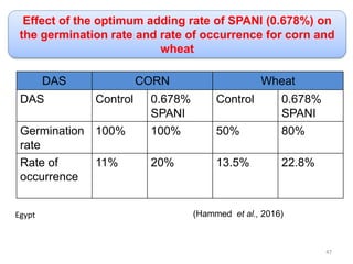 Effect of the optimum adding rate of SPANI (0.678%) on
the germination rate and rate of occurrence for corn and
wheat
(Hammed et al., 2016)
Egypt
47
DAS CORN Wheat
DAS Control 0.678%
SPANI
Control 0.678%
SPANI
Germination
rate
100% 100% 50% 80%
Rate of
occurrence
11% 20% 13.5% 22.8%
 