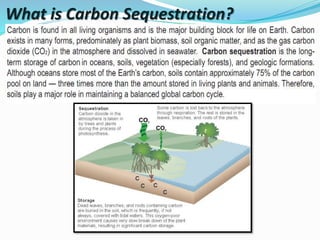 Soil Carbon & its Sequestration for Better Soil Health | PPTX