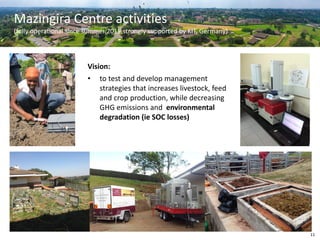 Soil carbon sequestration in relation to environmental footprints: A snapshot of activities at ILRI's Mazingira Centre