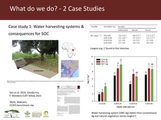Soil carbon sequestration in relation to environmental footprints: A snapshot of activities at ILRI's Mazingira Centre