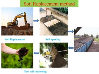 Soil Decontamination Techniques Types.pptx
