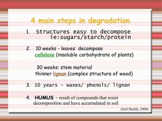 Microbe Population in Soil | PPT