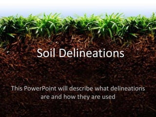 Soil Delineations
This PowerPoint will describe what delineations
are and how they are used
 