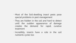 • Most of the Soil-dwelling insect pests pose
special problems in pest management
• They are hidden in the soil and hard to detect
until the sudden appearance of damage
creates the demand for rapid, curative
treatment
• Incredibly, insects have a role in the soil
nutrients cycles too
 