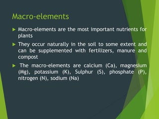 Soil ecology | PPTX