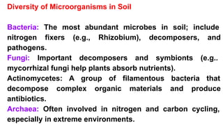 Diversity of Microorganisms in Soil
Bacteria: The most abundant microbes in soil; include
nitrogen fixers (e.g., Rhizobium), decomposers, and
pathogens.
Fungi: Important decomposers and symbionts (e.g..
mycorrhizal fungi help plants absorb nutrients).
Actinomycetes: A group of filamentous bacteria that
decompose complex organic materials and produce
antibiotics.
Archaea: Often involved in nitrogen and carbon cycling,
especially in extreme environments.
 