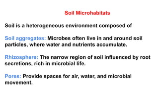 Soil Microhabitats
Soil is a heterogeneous environment composed of
Soil aggregates: Microbes often live in and around soil
particles, where water and nutrients accumulate.
Rhizosphere: The narrow region of soil influenced by root
secretions, rich in microbial life.
Pores: Provide spaces for air, water, and microbial
movement.
 