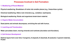 Processes Involved in Soil Formation:
1. Weathering of Parent Material
Physical weathering: Breakdown of rocks into smaller pieces (e.g., freeze-thaw cycles).
Chemical weathering: Alters rock minerals (e.g., oxidation, hydrolysis).
Biological weathering: Roots and organisms break down material.
2. Organic Matter Accumulation
Dead plants and animals decompose, enriching the soil with humus.
3. Leaching and Translocation
Water percolates down, moving minerals and nutrients (eluviation and illuviation).
4. Soil Horizon Development
Distinct layers form over time: 0 (organic), A (topsoil), E (leached), B (subsoil), C (parent material),
R (bed
 